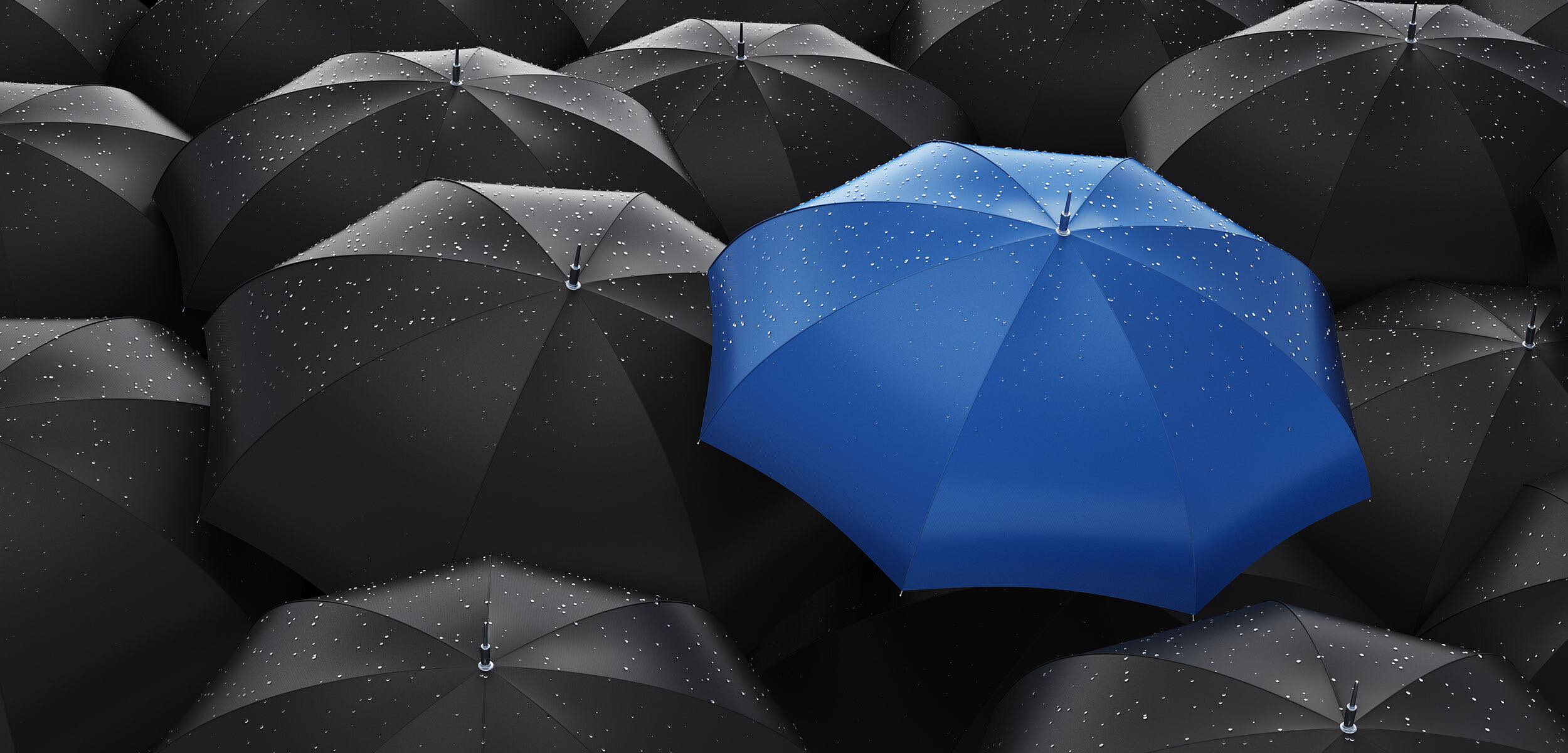 Made in Sandwell Inner