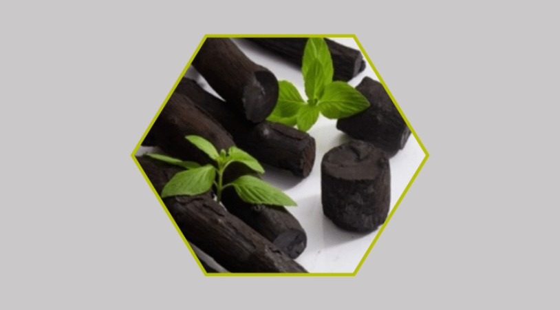 Be the solution: join the Biochar CleanTech Accelerator